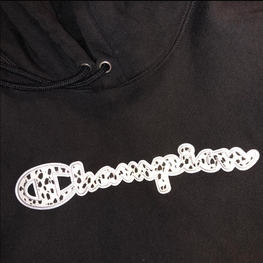 Champion Reverse Weave Hoodie